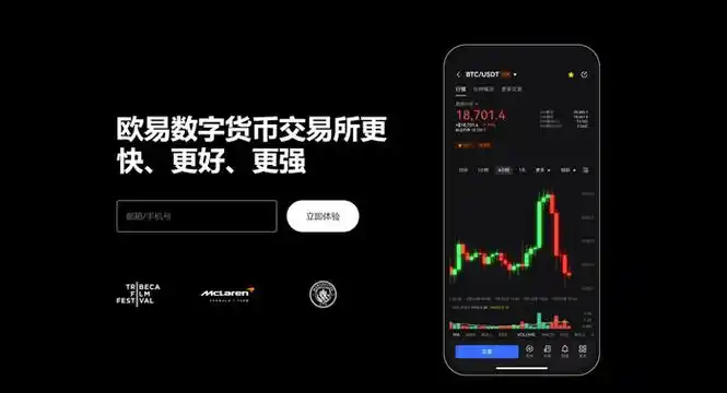 Tpay钱包下载平台展示图